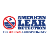 American Leak Detection - Pool & Spa Detection/Repair Technician
